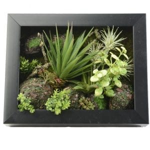 Support mural 3D Fleurs Artificielles Succulente plantes - Décoration pour cabinet dentaire