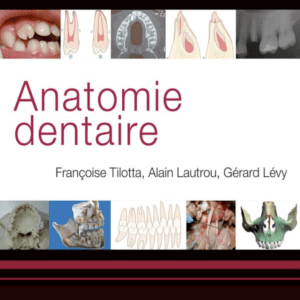 Anatomie dentaire