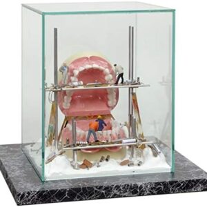 Décoration vitrine cabinet dentaire Zahnkönige